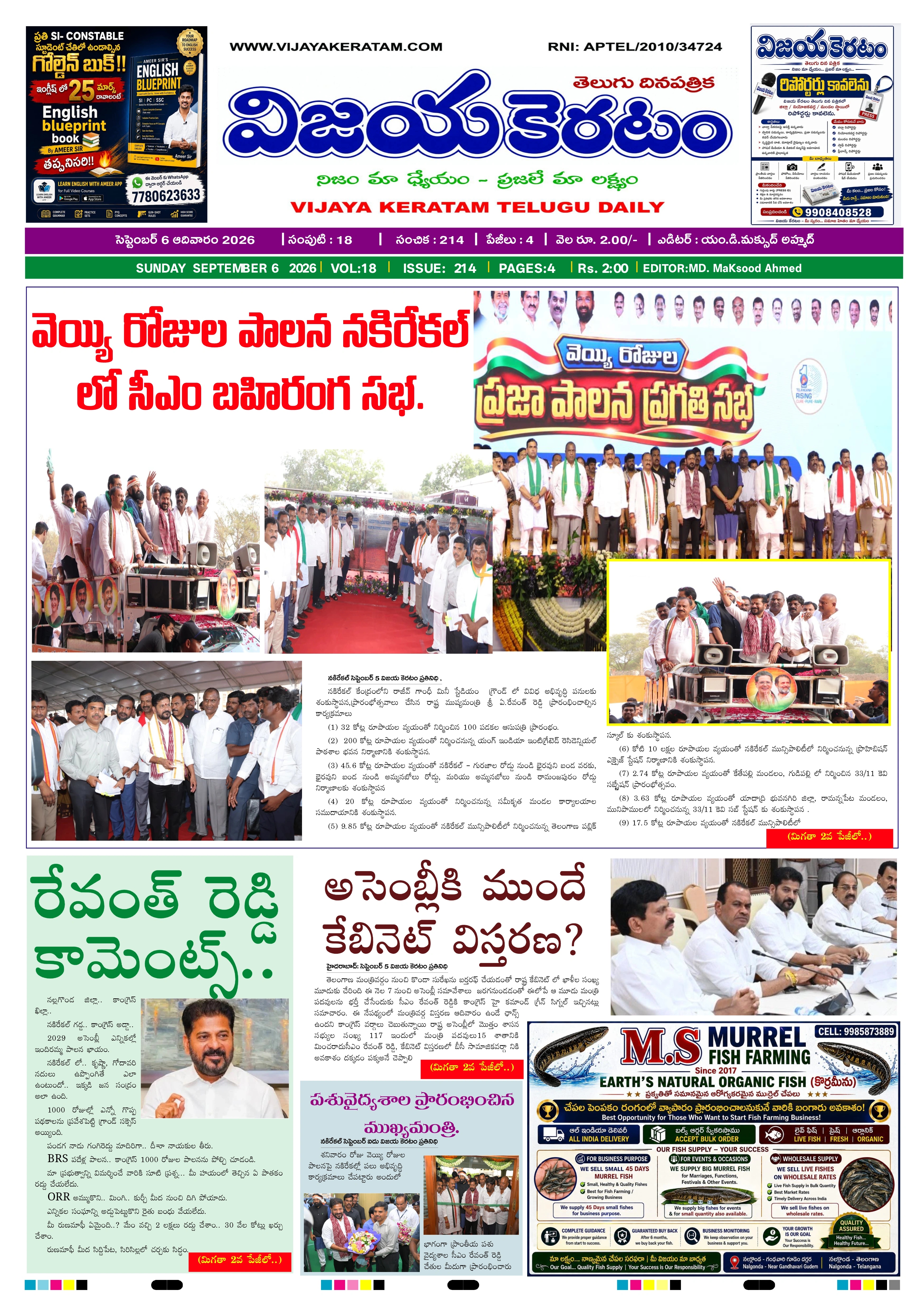 E-Paper Page
