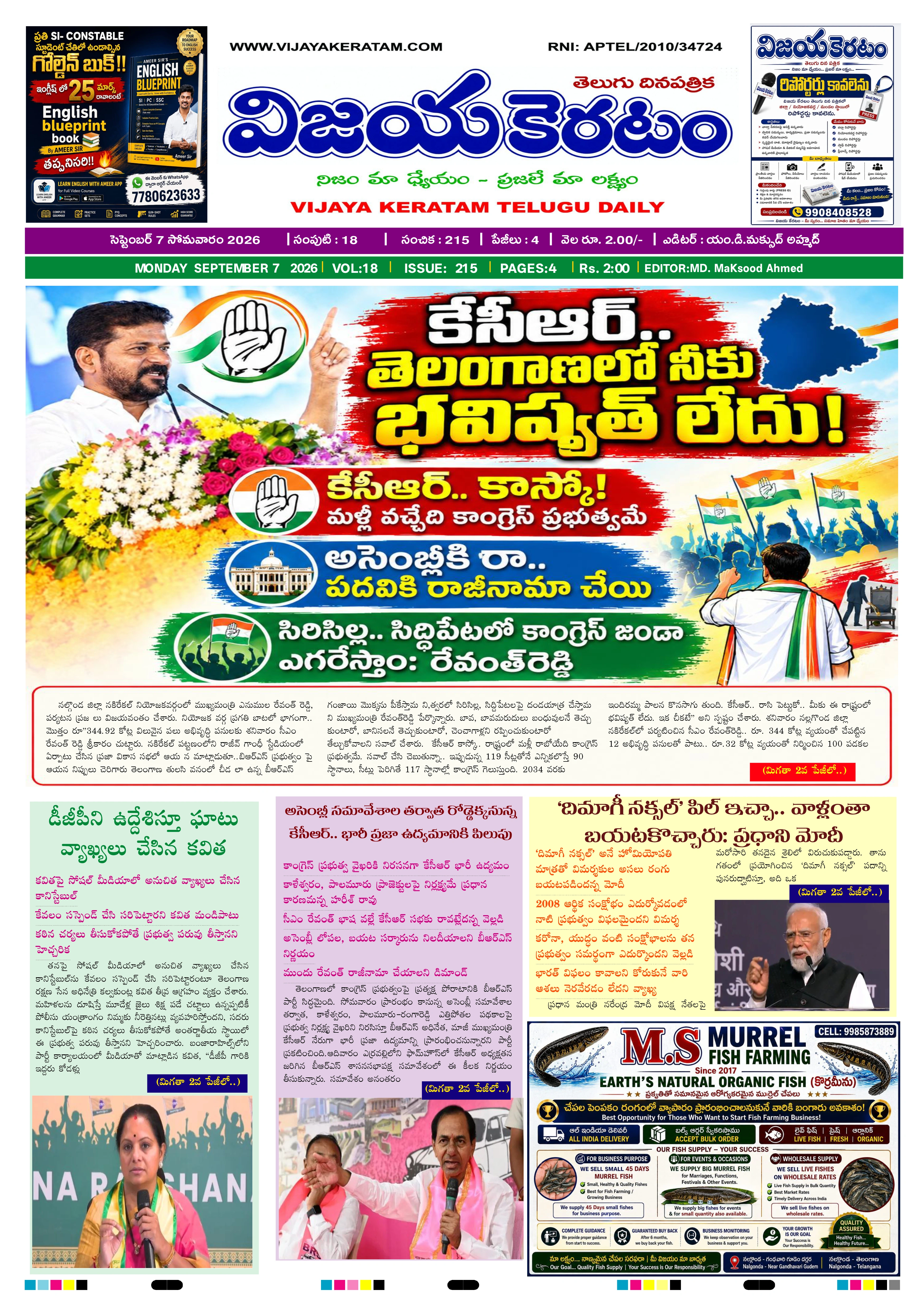 E-Paper Page