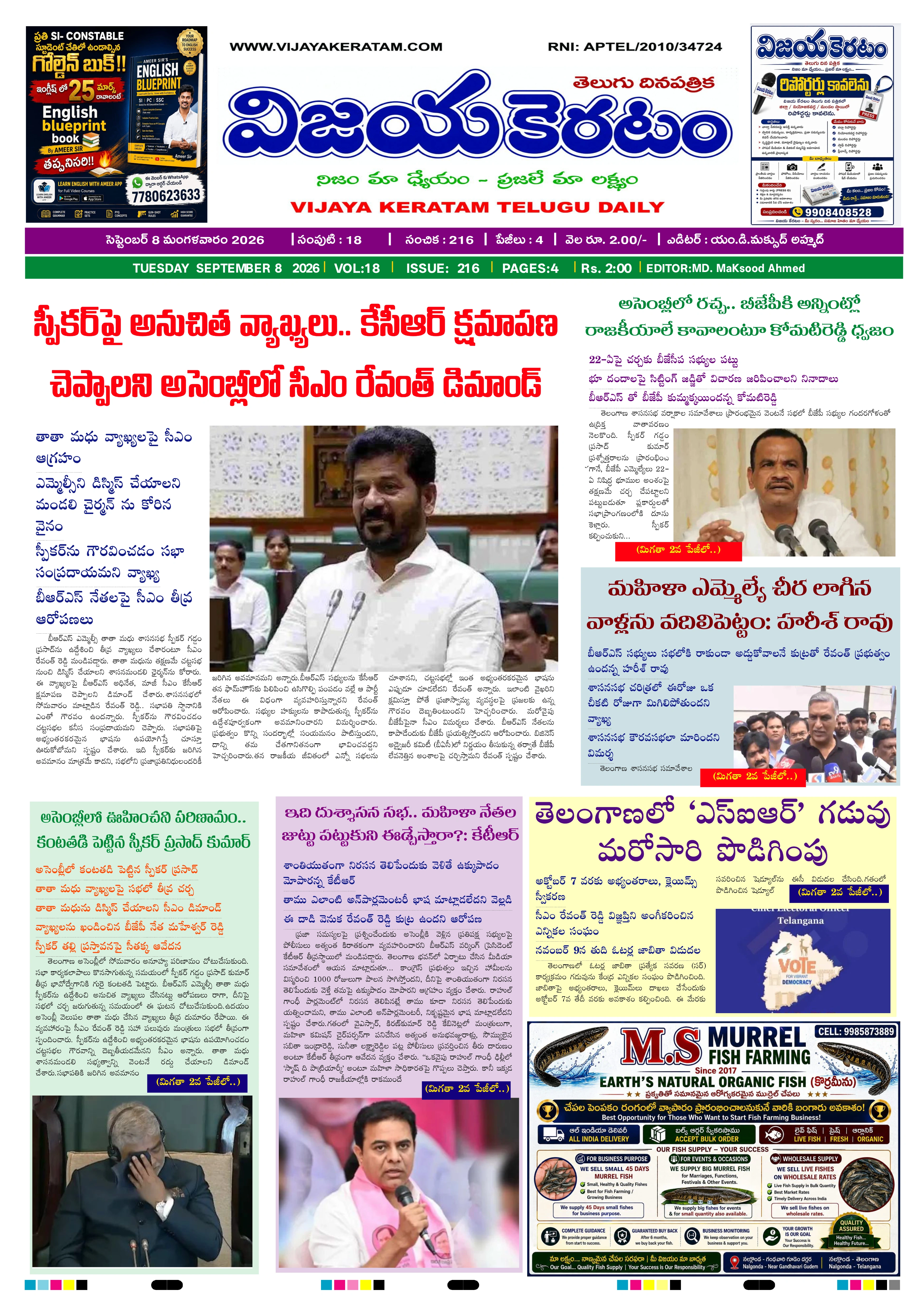 E-Paper Page